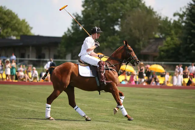 Prince Harry playing polo at Governors Island